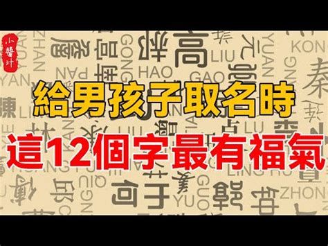 2023男寶寶名字台灣 龍骨木風水